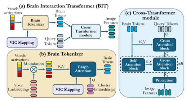 Brain Interaction Transformer (BIT) 아키텍처 이미지
