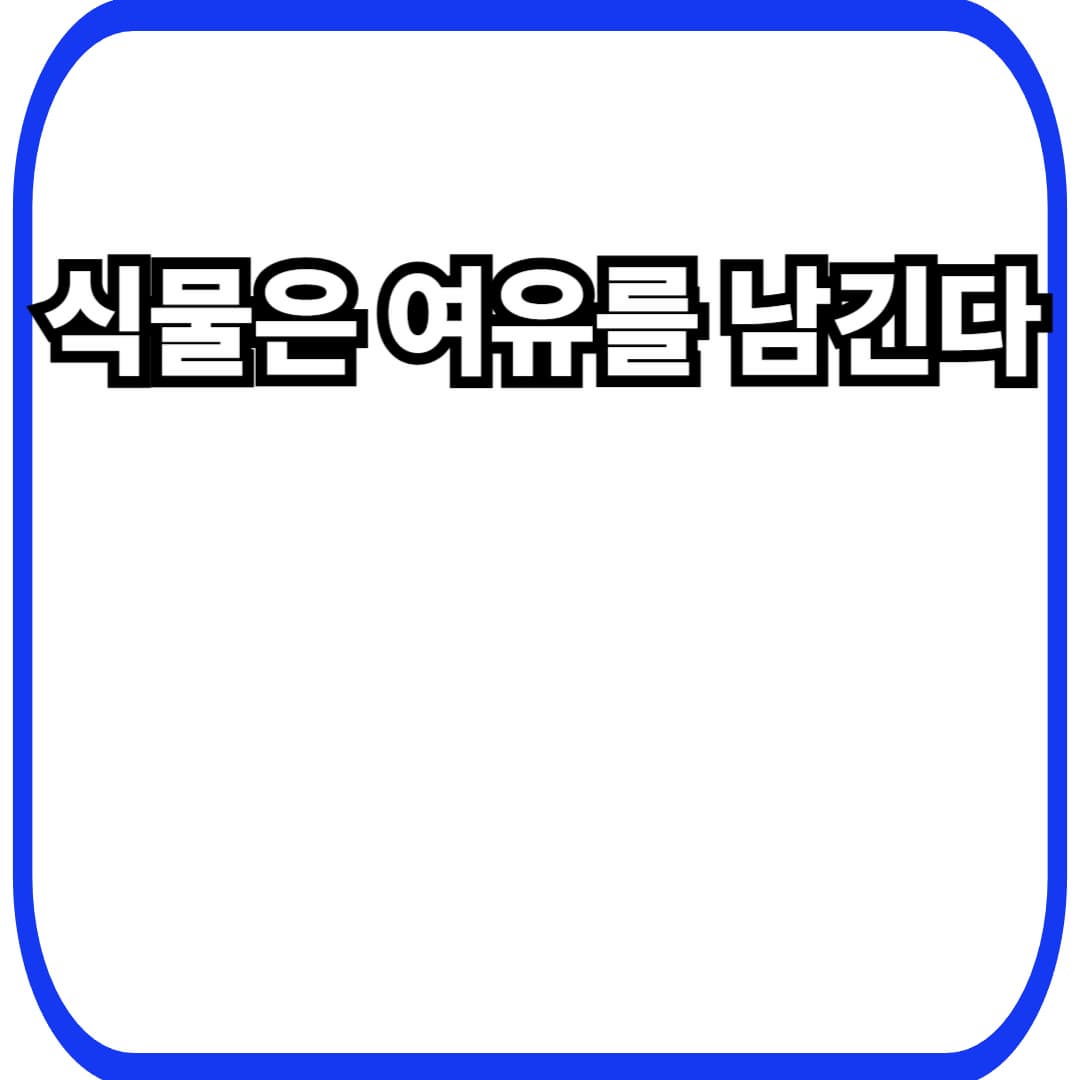 식물 여유 확보 전략에서 시작되는 생존 설계, 모든 것을 쓰지 않는 선택의 힘
