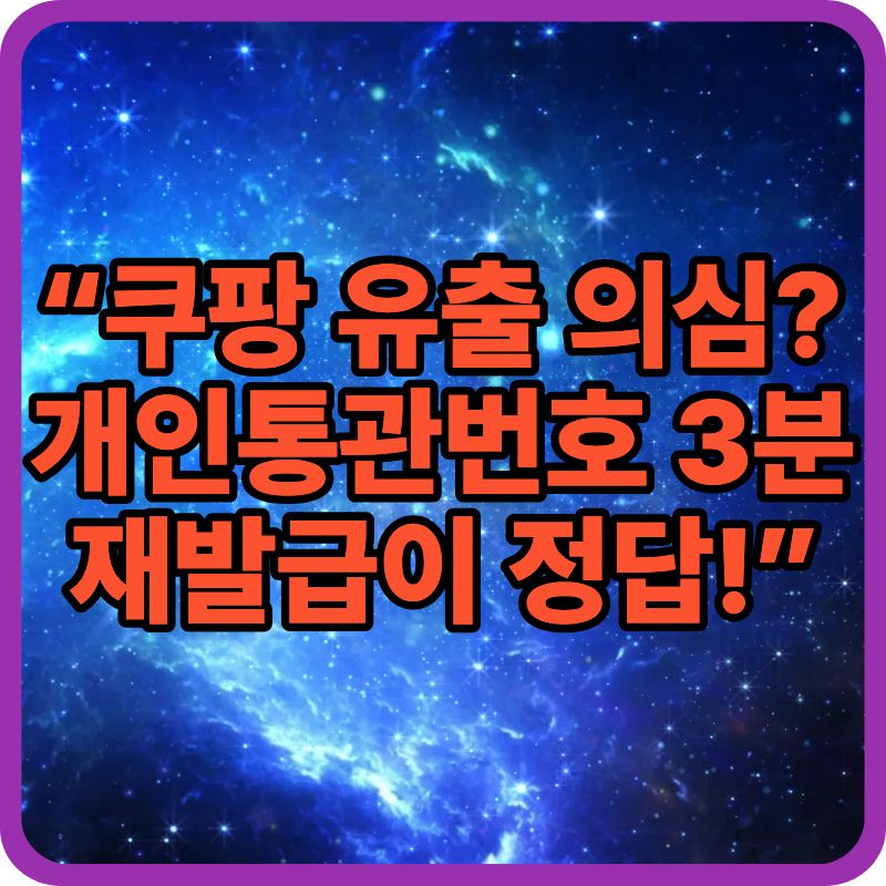 쿠팡 개인정보 유출 의심될 때 1순위는? 개인통관번호 즉시 재발급 방법