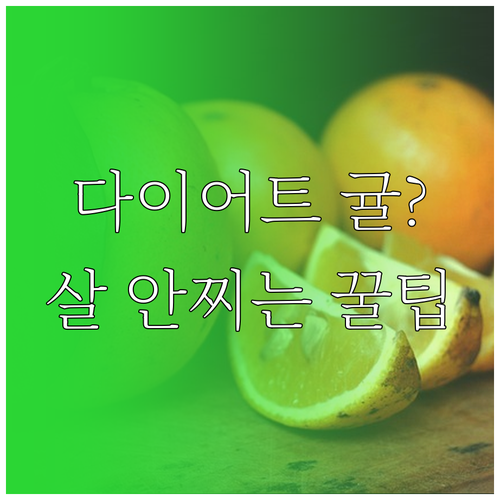 다이어트 중 귤 섭취량 조절과 효과적..