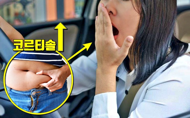 갑자기 뱃살이 찌는 이유 지방분해, 팔뚝살, 여자 뱃살, 남자 뱃살,건강 다이어트 팁줌