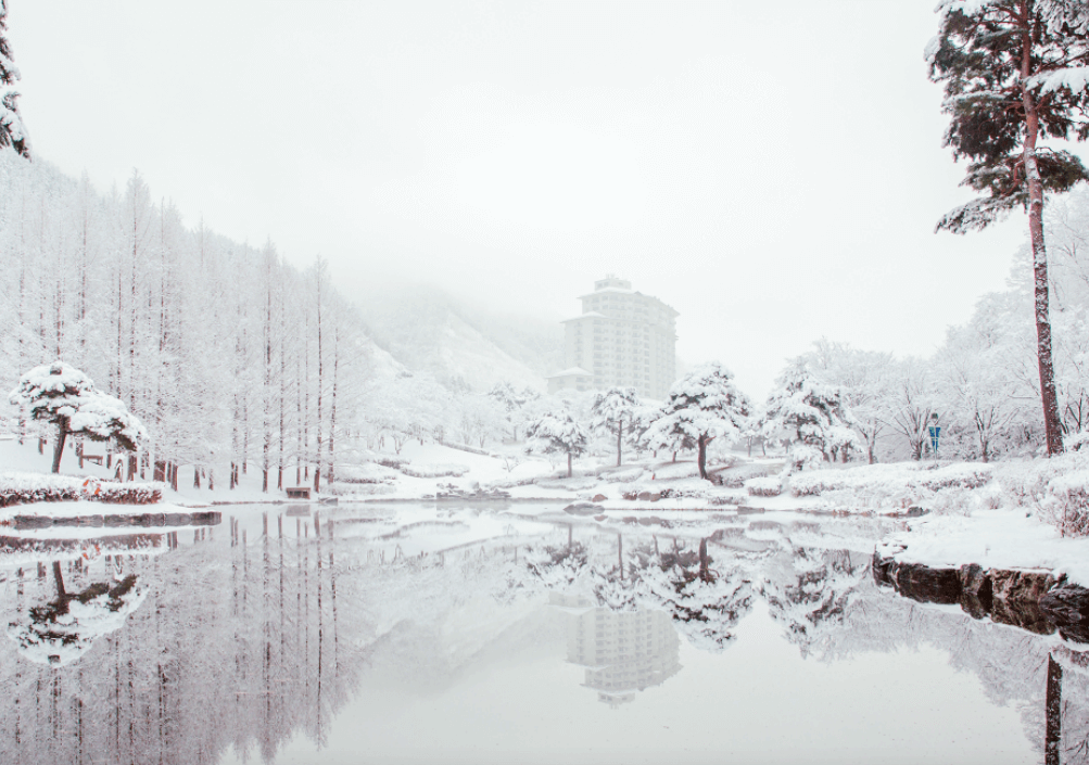 엘리시안-강촌-스키장