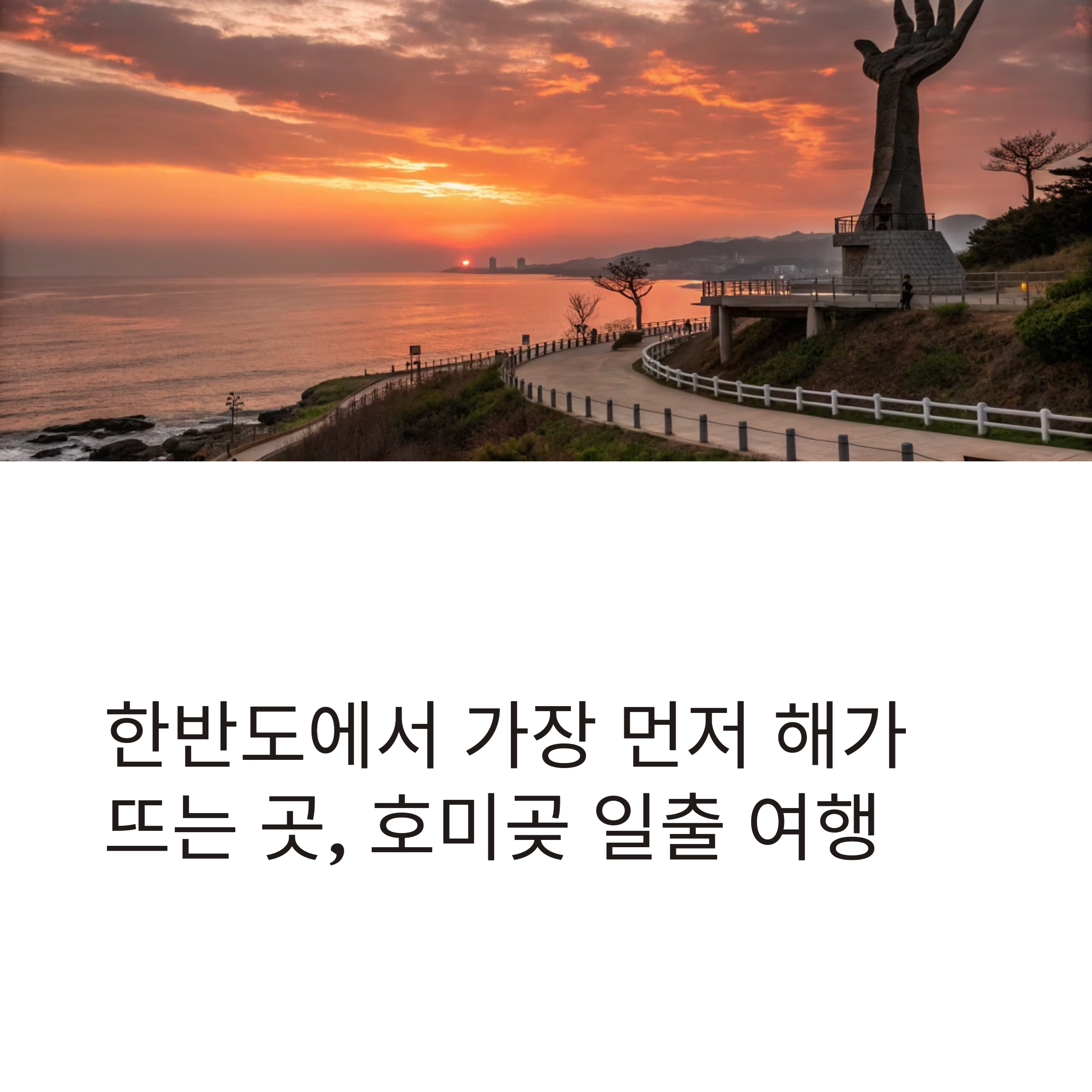 포항 호미곶 일출 여행