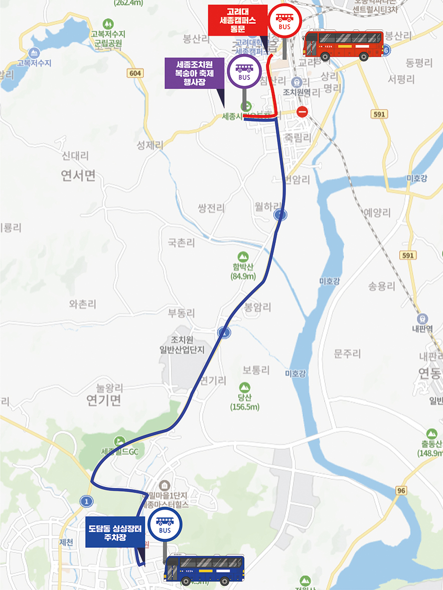 117년 전통 세종 조치원 복숭아축제 즐기기 (초대가수, 워터밤, 블랙이글스 에어쇼, 주차, 셔틀버스까지)