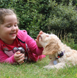 잔디밭에 엎드려 강아지를 만지며 즐거워하는 여자아이