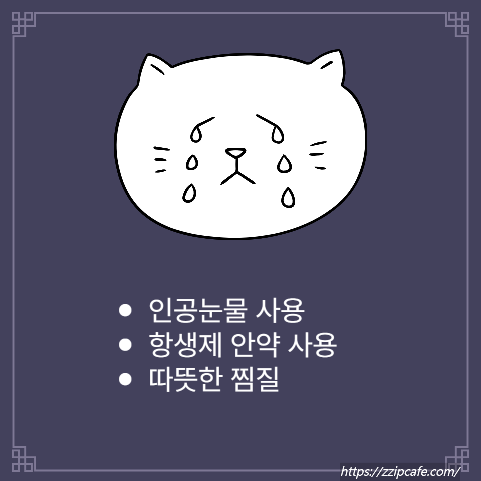 눈 이물감