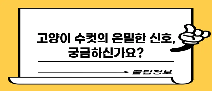 고양이 수컷 발정기 필수 지식, 확실히 알아두세요!