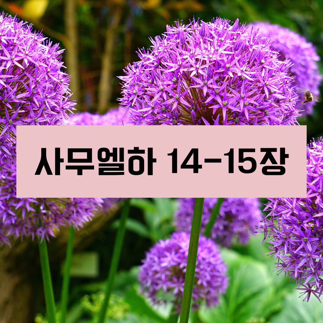 사무엘하14_15장