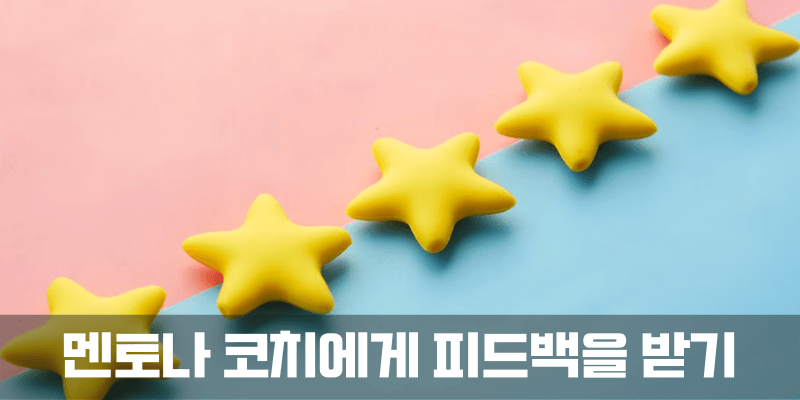 멘토나 코치에게 애정어린, 하지만 냉정한 피드백을 받아 보아야 합니다