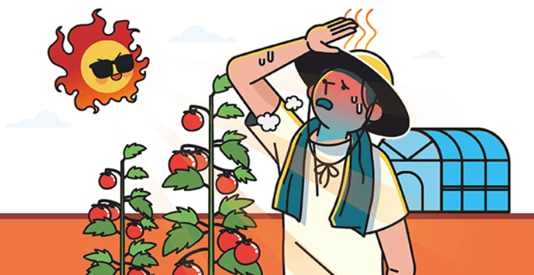 온열질환 열사병 증상 및 대상자별 예방 응급처치 방법