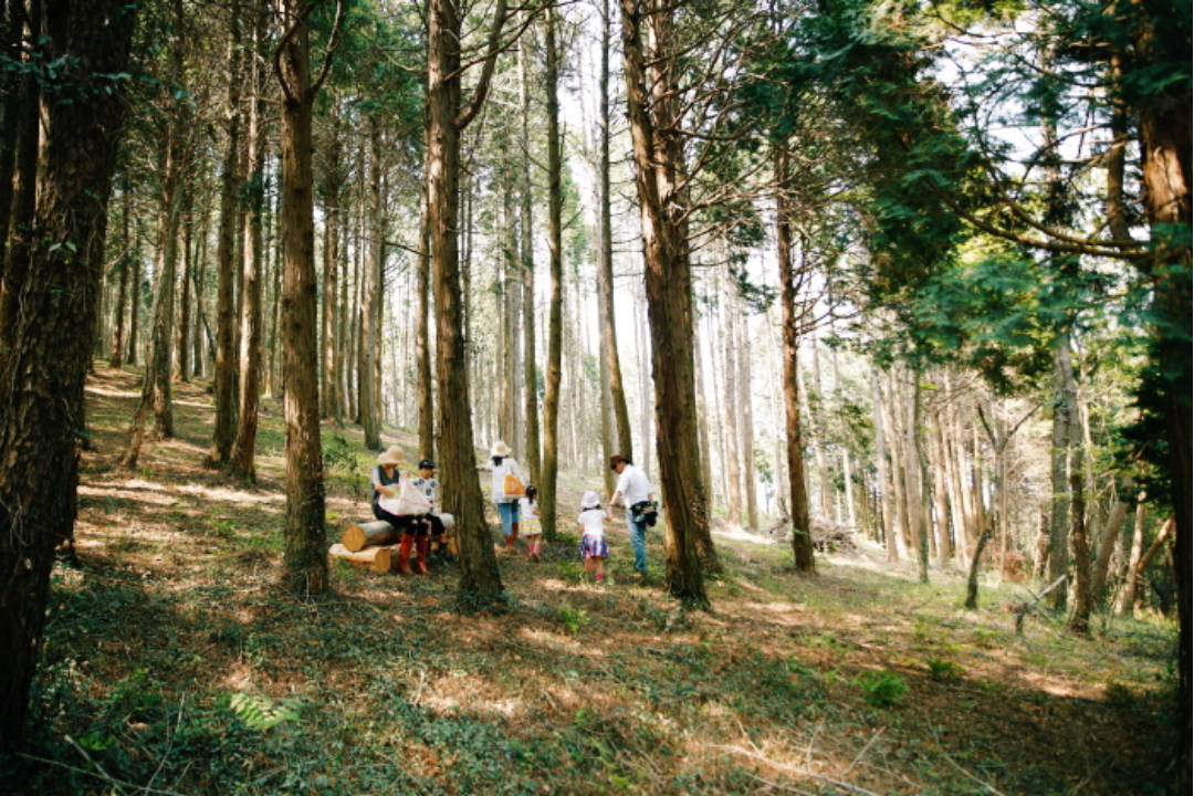 상상양떼목장 전경