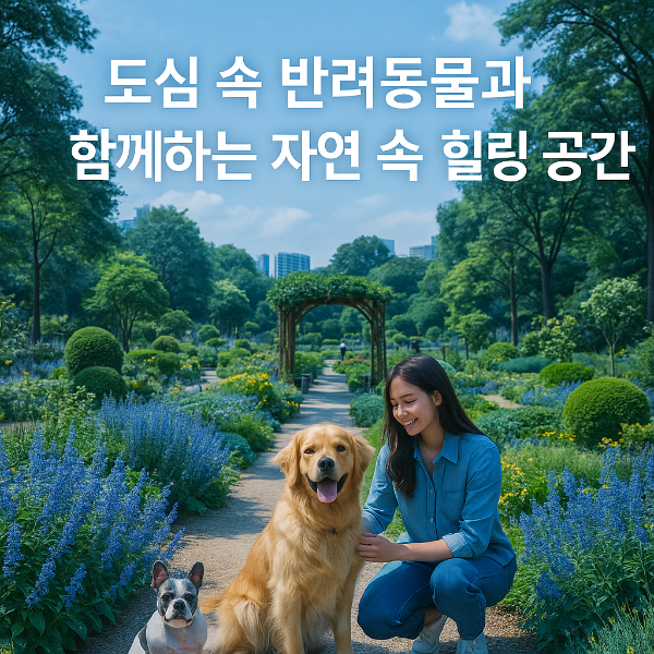 서울 보라매공원 ‘포포랜드’ – 반려동물과 함께하는 힐링 정원
