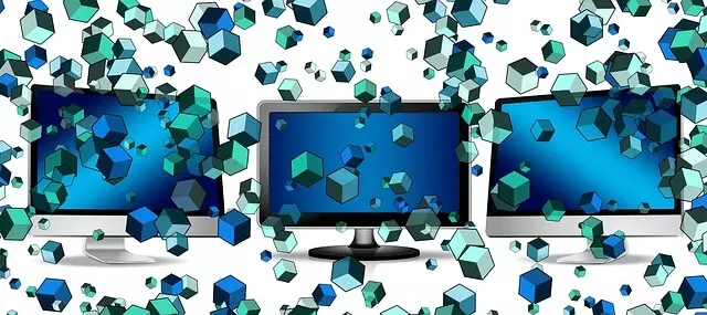 데이터 베이스의 조각 사진