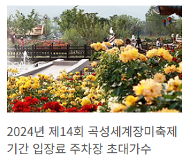 곡성장미축제