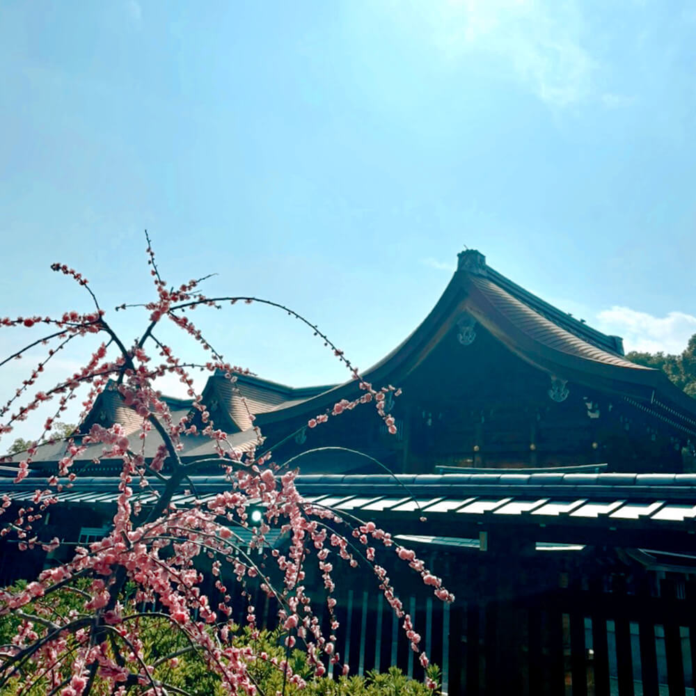 신사-본전