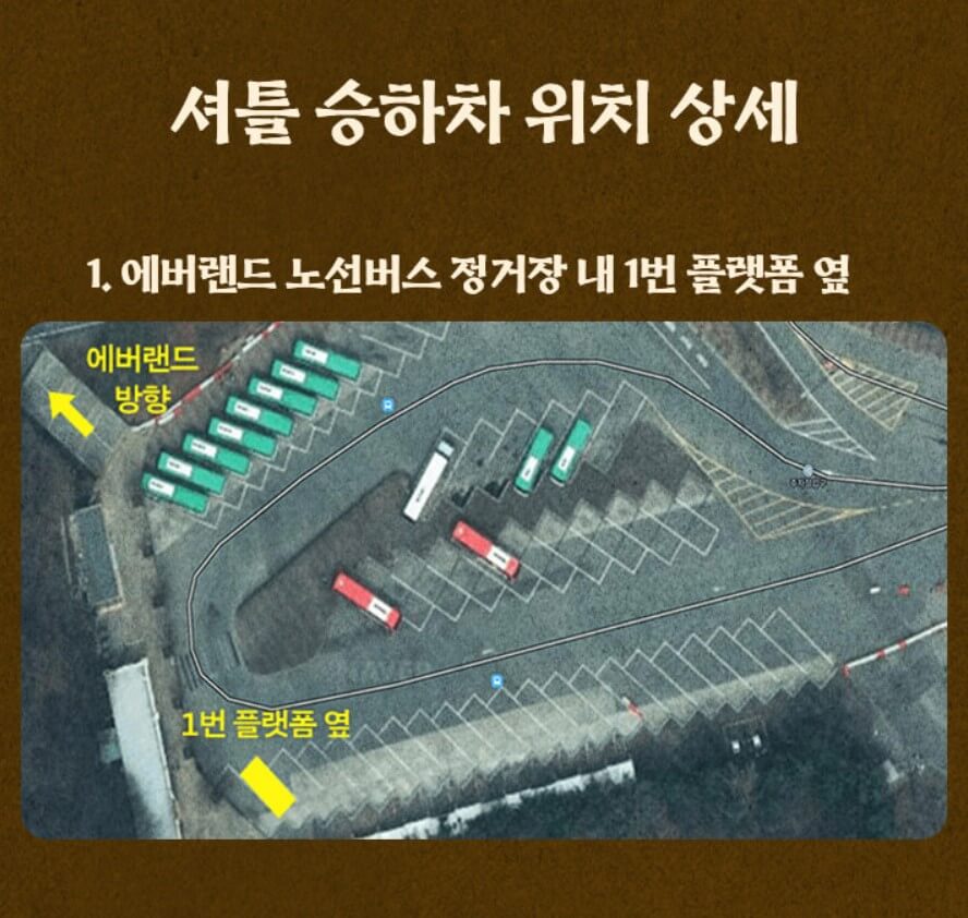 에버랜드 은행나무숲 예약하기