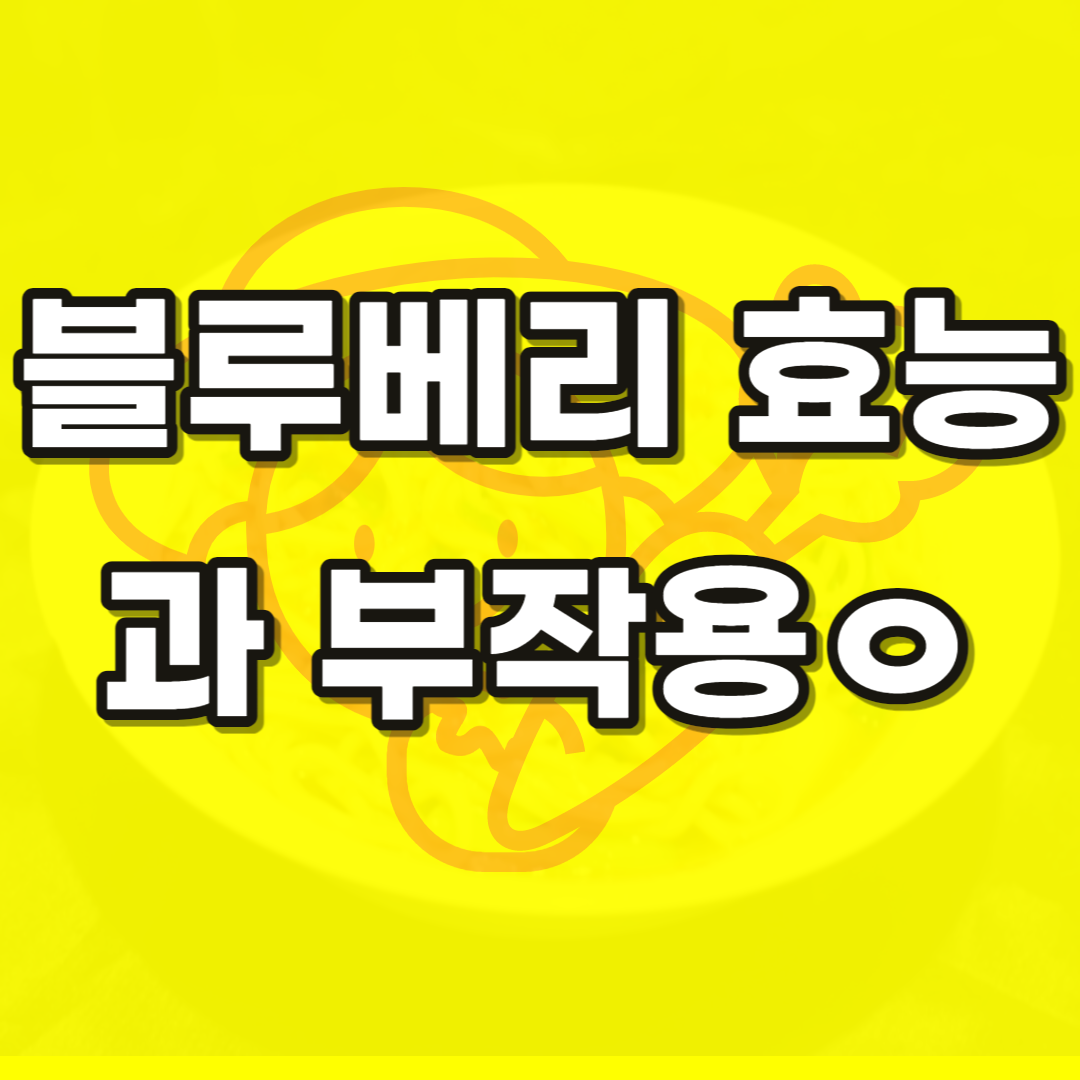 블루베리 효능과 부작용