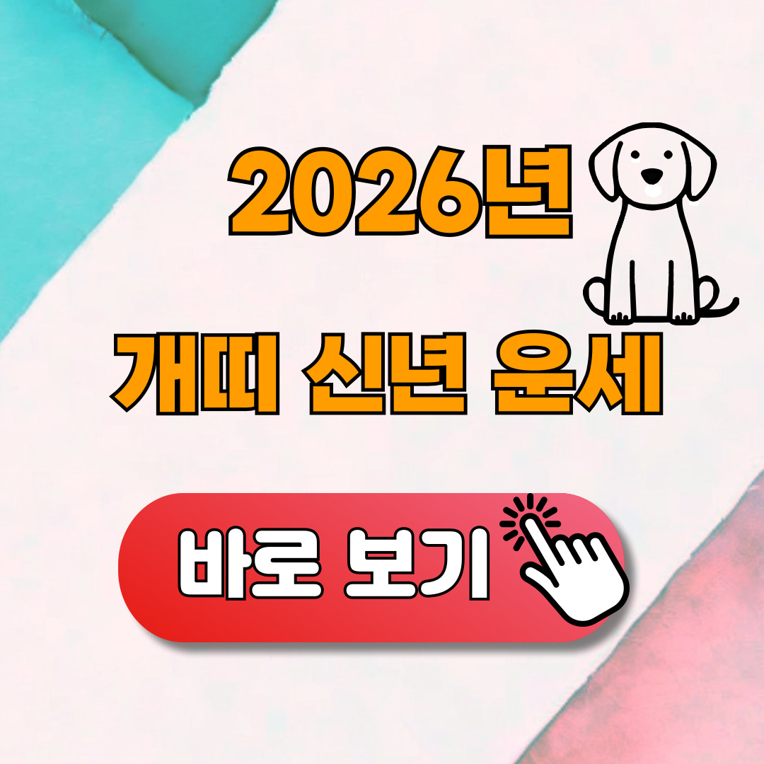 2026년 개띠 신년운세 무료보기