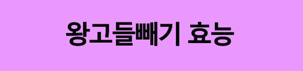 고들빼기효능