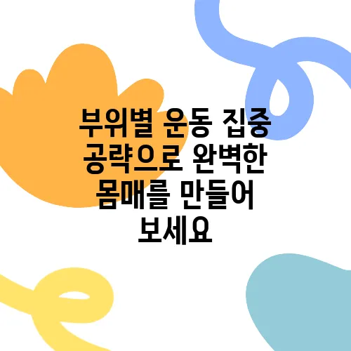 부위별 운동 집중 공략으로 완벽한 몸매를 만들어 보세요