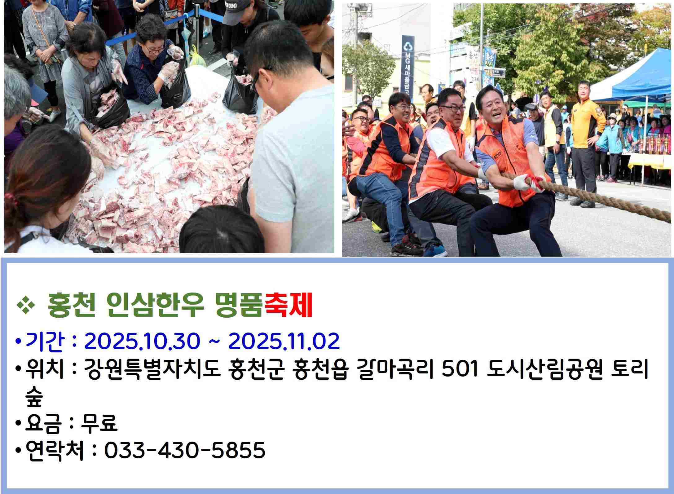 홍천 인삼한우 명품축제