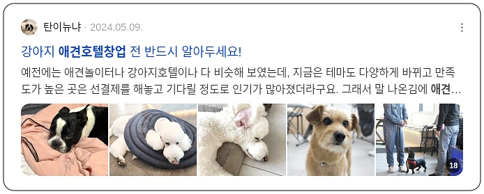 애견호텔창업_3_subsection