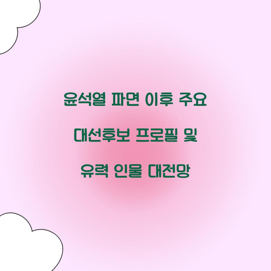 윤석열 파면 이후 주요 대선후보 프로필