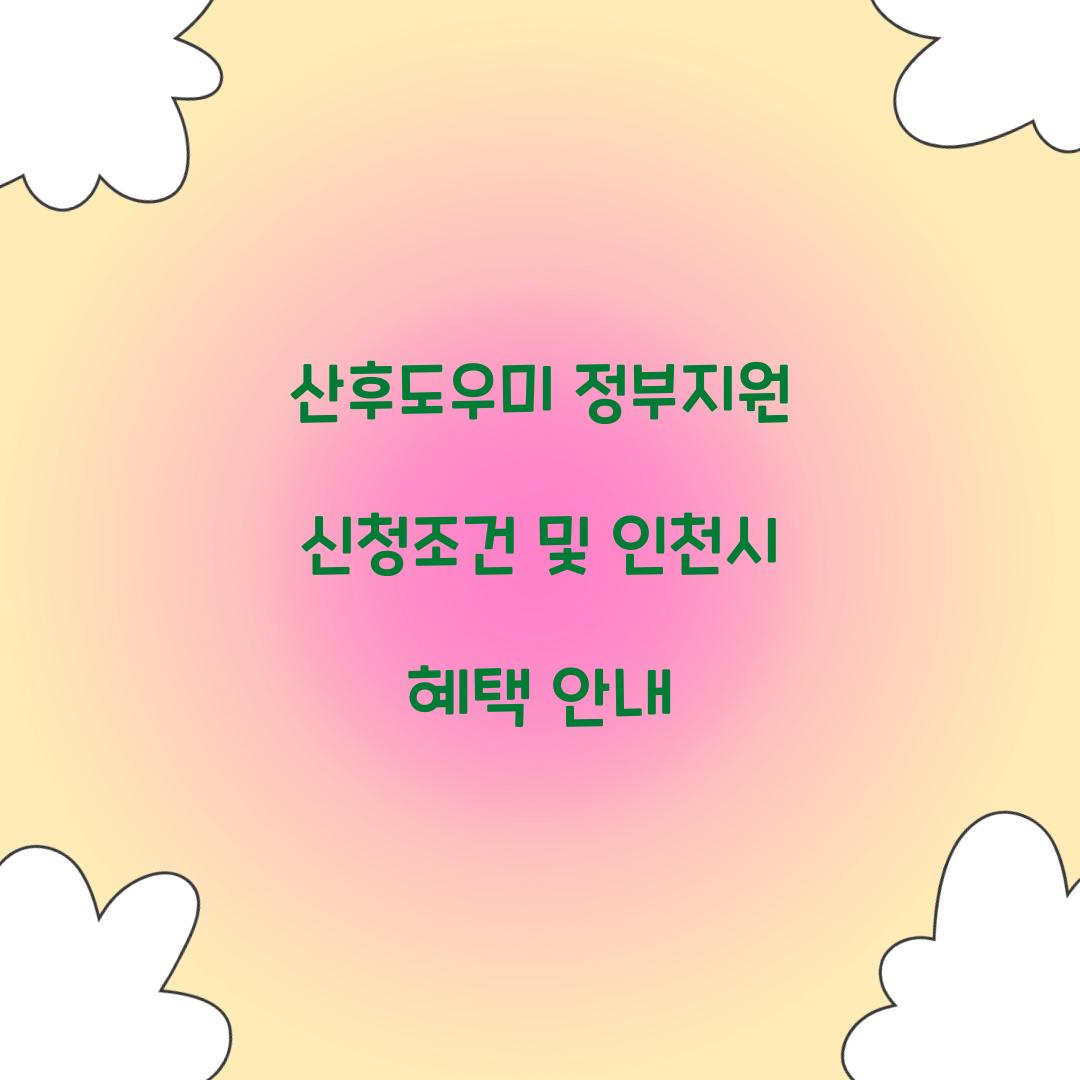 산후도우미 정부지원