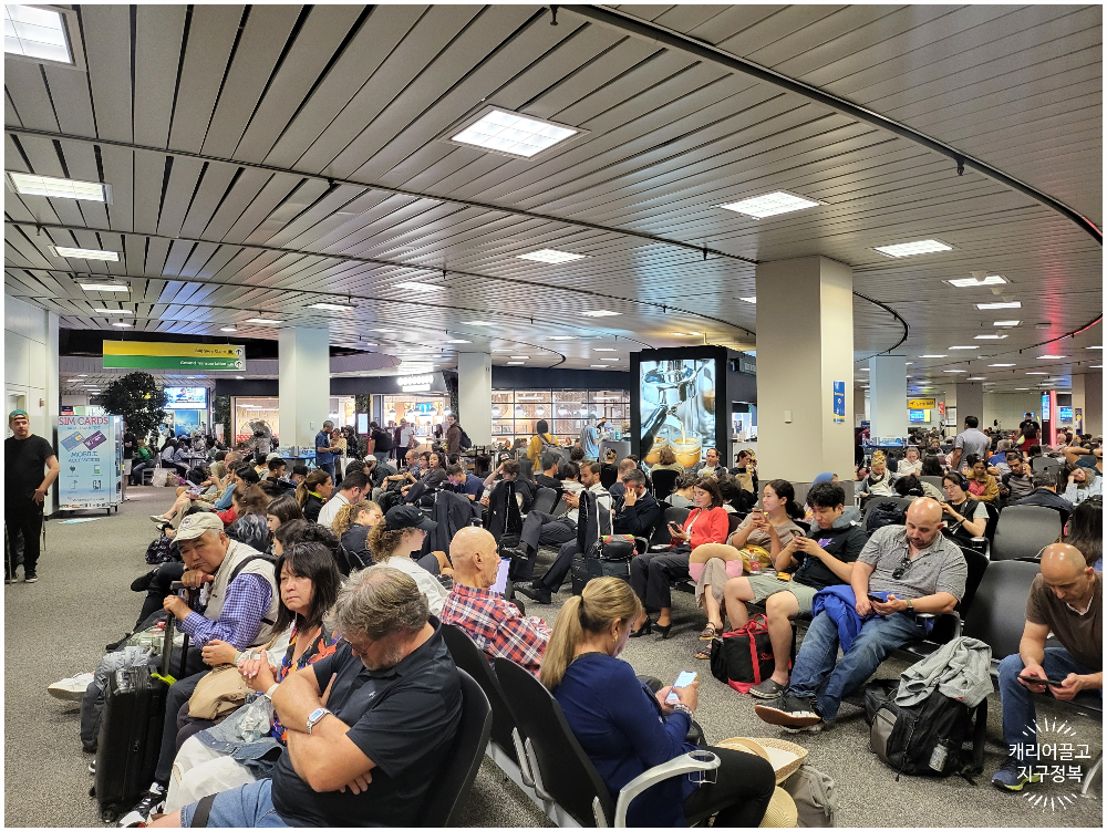뉴욕 뉴왁공항 에어 프레미아 체크인 카운터 위치