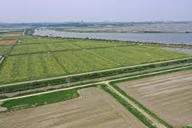 농지은행 농지 임대수탁 신청방법