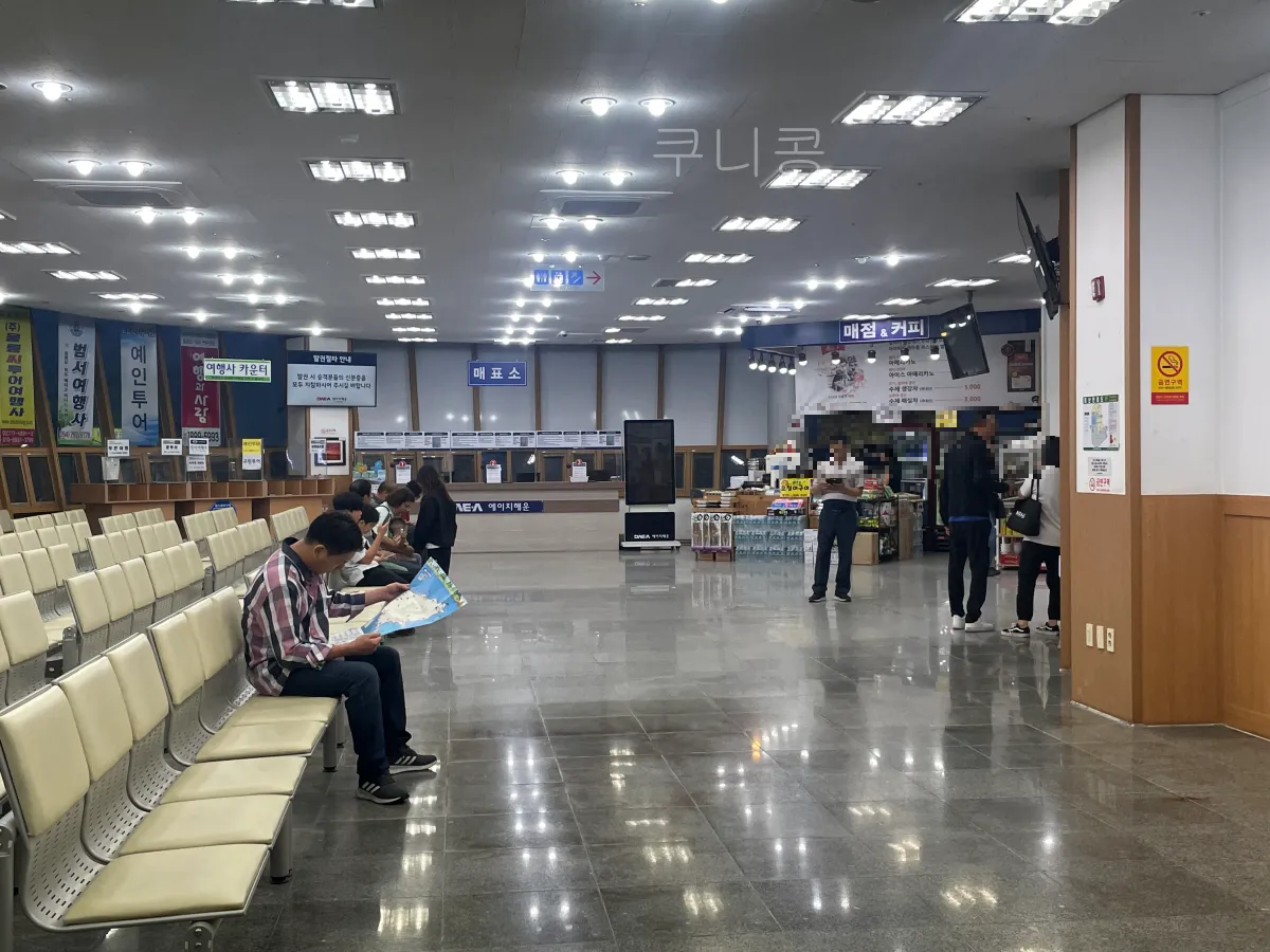 울릉도-2박3일-가족여행-후포항-울릉썬플라워-크루즈-차량선적-배편가격-발권꿀팁