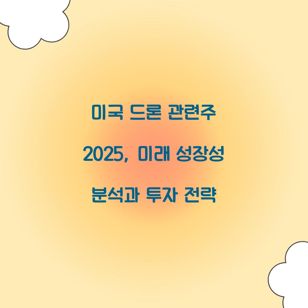 미국 드론 관련주 2025