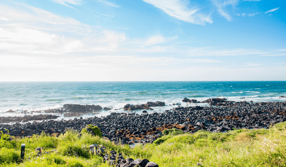 제주도_렌트카_저렴한곳_3
