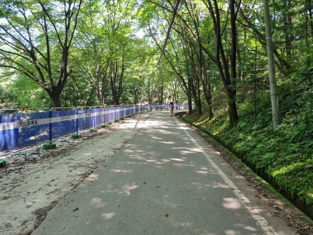 산림욕장-입구-산책로