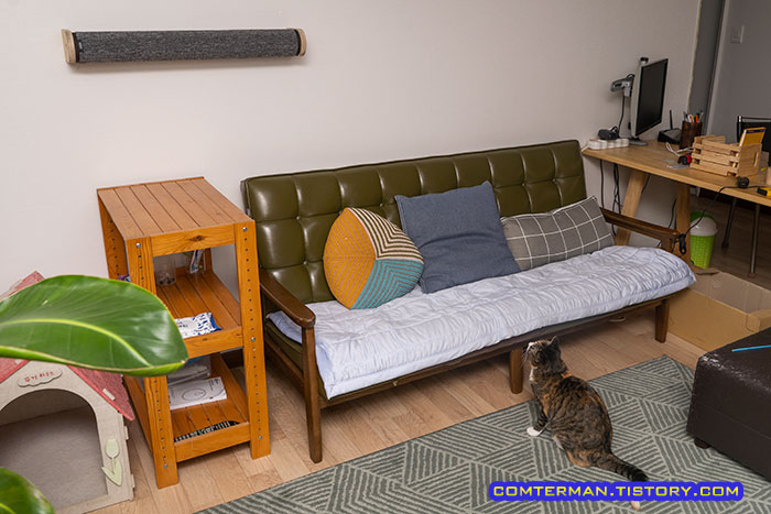 고양이 캣워커 사용