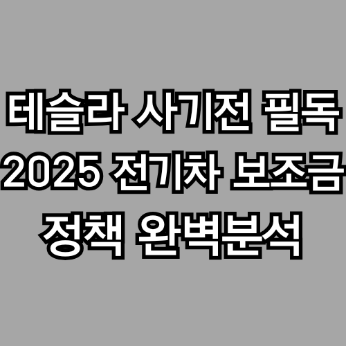 예비 테슬라오너를 위한 2025년 전기차 보조금 정책 업데이트 완벽분석