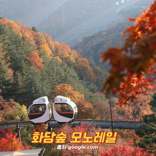화담숲 모노레일