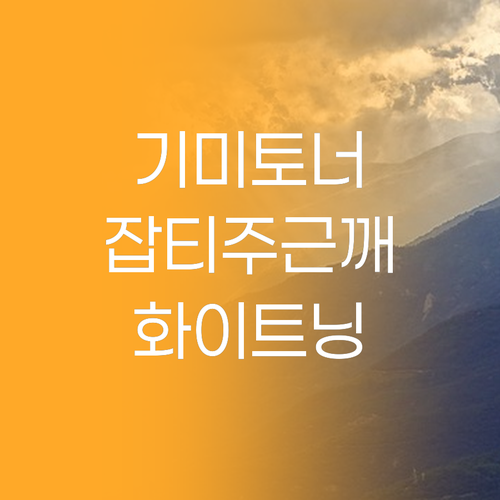 피부 고민 끝! 기미 토너 하나로 잡