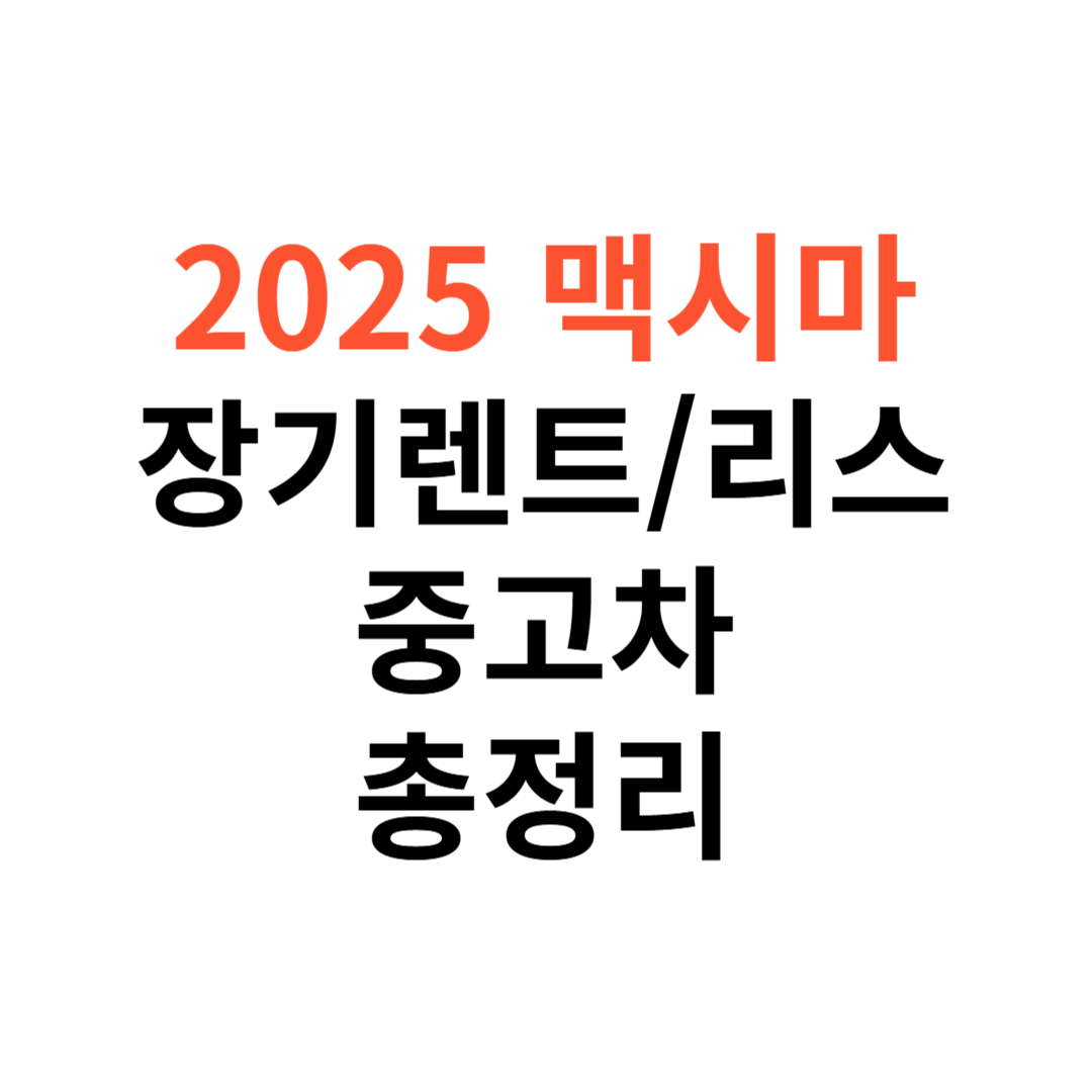 맥시마 장기렌트