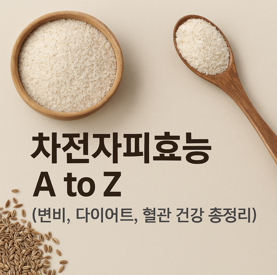 차전자피효능 A to Z (변비, 다이어트, 혈관 건강 총정리)