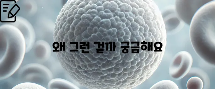 백혈구 수치가 낮은 이유 한번에 확인하기
