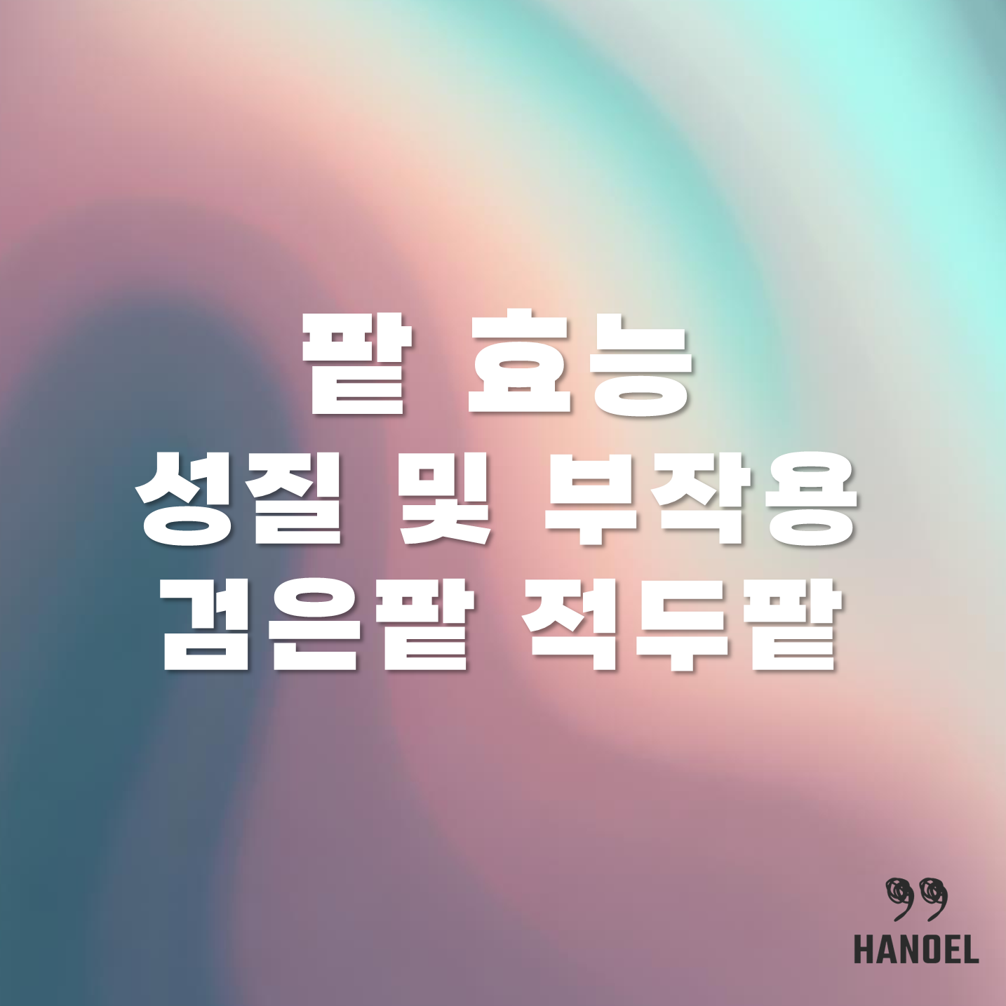 팥 효능 성질 및 부작용 검은팥 적두팥