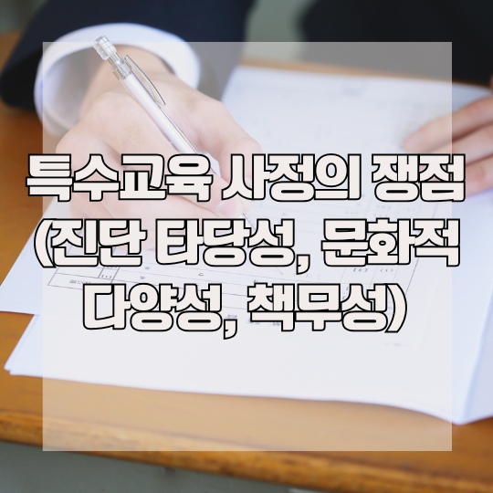 특수교육 사정의 쟁점 (진단 타당성, 문화적 다양성, 책무성)