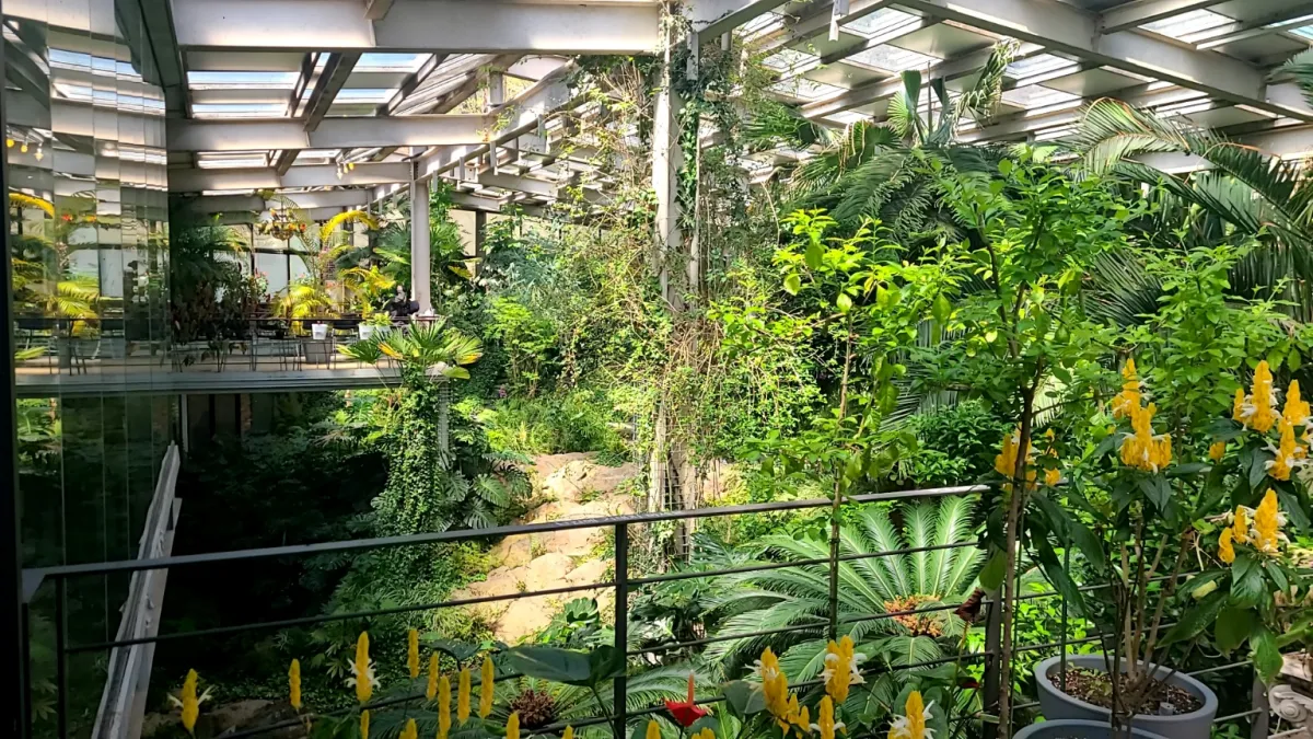 양주오랑주리카페-내부모습-숲이우거진모습