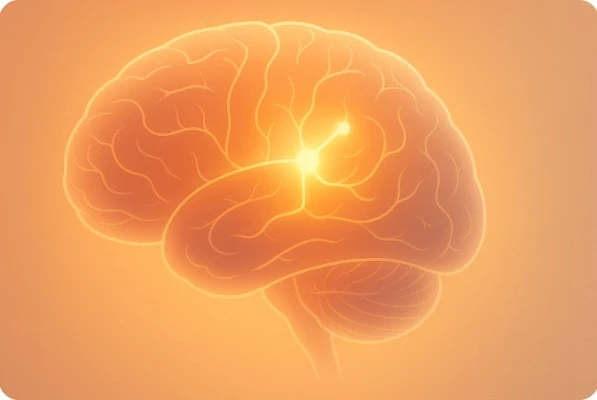 실패를 업데이트 모드로 표현한 뇌 회로 이미지