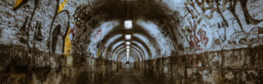 한강 메디치 외국문학상