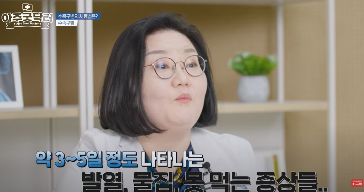 3 ~ 5일 정도 나타나는 발열&amp;#44; 물집등의 증상