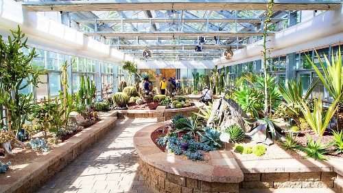 대전 겨울 여행 명소, 장태산자연휴양림&middot;한밭수목원&middot;보문산행복숲길&middot;유림공원