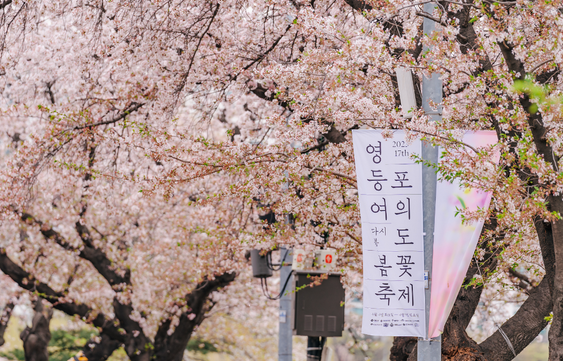 영등포 여의도 봄곷 축제 홈페이지 이미지