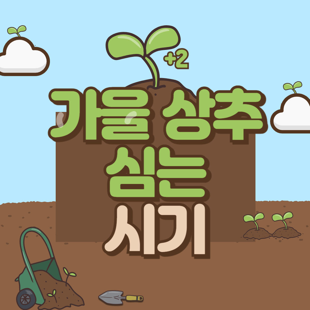 가을 상추 심는 시기